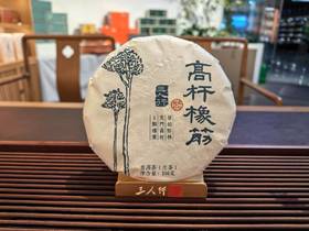 2024 天门山  高杆橡筋 古树之上 质感爆棚 200克