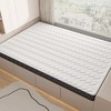 【KL】3E环保椰棕垫1M*2M 商品缩略图0