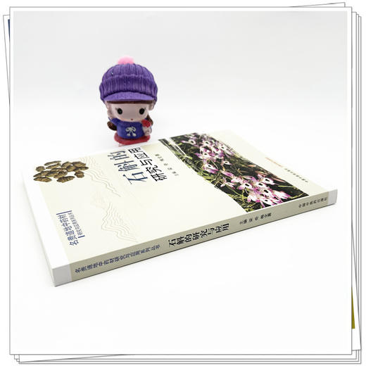 石斛的研究与应用 梁奇 梅全喜 主编 中国中医药出版社 名贵道地中药材研究与应用系列丛书 商品图2