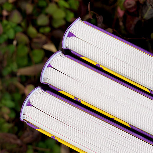 封神演义原著正版 全本全注全评注全导读彩图本【精装3册】（AY） 商品图3