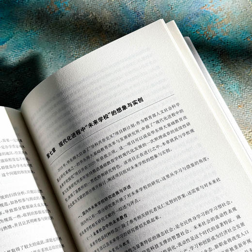 标准与试验 学校现代化标准研制及区域性探索 基础教育学校现代化研究丛书 商品图13