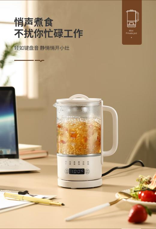 荣事达-养生壶 商品图1