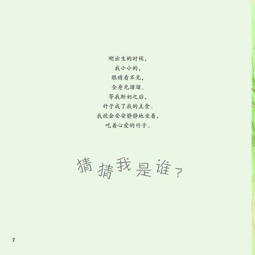 《你好！动物宝宝》（全6册） 商品图3