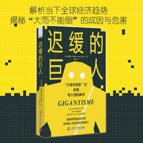 迟缓的巨人：“大而不能倒”的反思与人性化转向