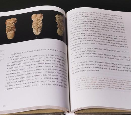 “胡汉中国与外来文明”丛书：《交流卷：绵亘万里长》《艺术卷：拂菻花乱彩》《胡佣卷：绿眼紫髯胡》《民族卷：胡马度阴山》《宗教卷：番僧入华来》，16开，精装，葛承雍著，三联书店2019年一版一印 商品图12