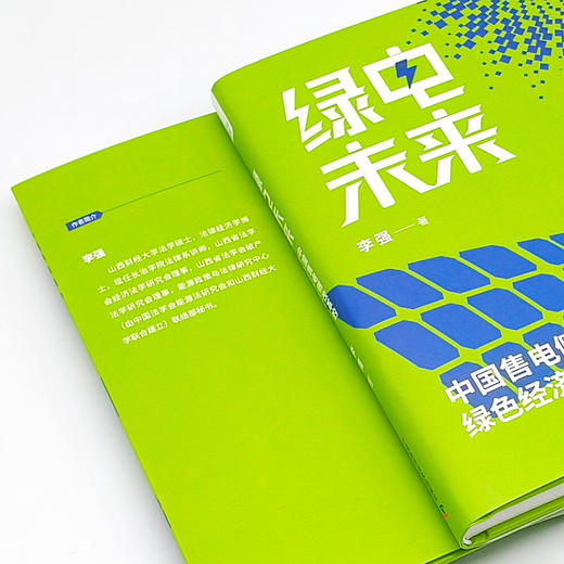 绿电未来：中国售电侧改革的绿色经济效应 商品图8