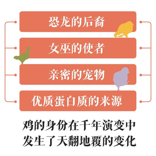 鸡的社会史：从生物到产品的千年之路（从星君到神鸟再到餐桌，鸡与人的爱恨史！） 商品图1