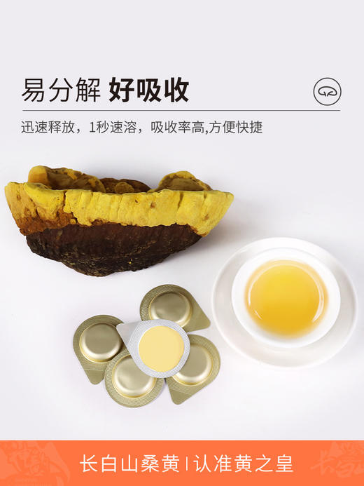 黄之皇 长白山桑黄冻干粉 6克/盒（0.2g/袋*30 片） 商品图2