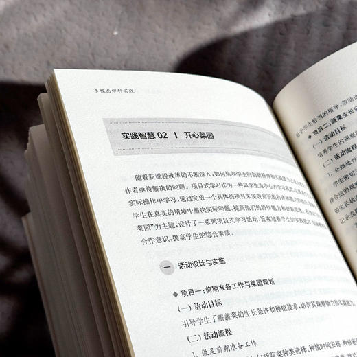 多模态学科实践 新质课程文化丛书 学科课程设计 初中案例 商品图13