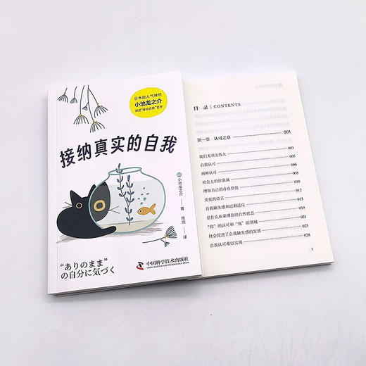 接纳真实的自我（日本超人气禅师小池龙之介力作！"与自己和解"指南！） 商品图9
