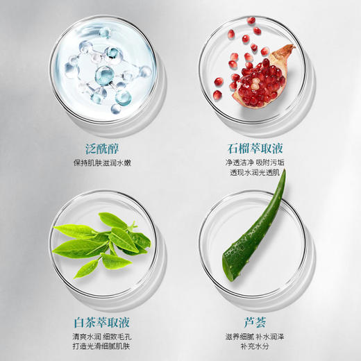 德国戴乐博士 活力水润洁面泡沫 商品图1