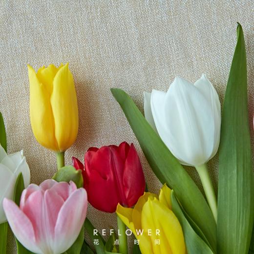 20枝郁金香 单色随机 | 新客福利 商品图3
