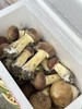 周五取货：【赤松茸】一箱毛重2斤左右，个头饱满，菌肉厚实，脆嫩可口，味纯鲜香！ 商品缩略图3