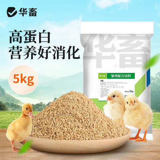 华畜小鸡饲料专用幼鸡雏鸡开口粮育雏宠物鸡鸭芦丁鸡食物粮高蛋白 商品图0