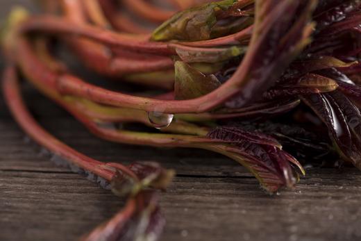 【每周一、周四现采现发】你的春日限定——灵椿之语-香椿  时令红椿400g 商品图1