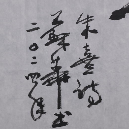 苏华《观书有感》书法69CM*137CM约8.5平尺手写宣纸作品【SF0724】 商品图10