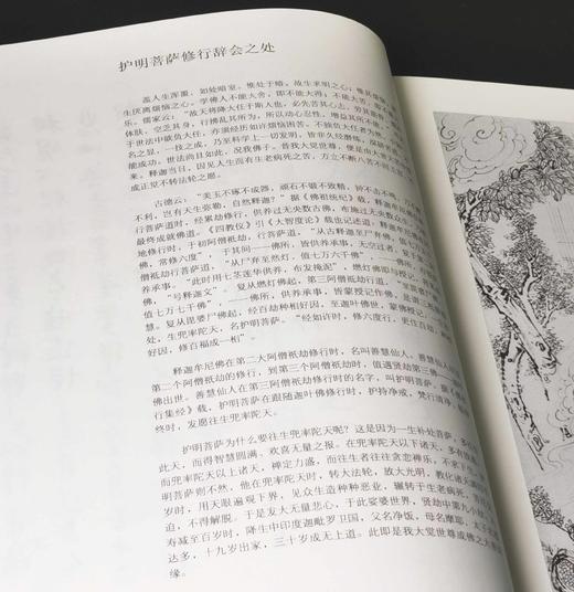 《月照法师绘释迦如来应化事迹图》，12开平装，月照上人绘画讲述，紫禁城出版社2007年一版一印，191页，定价120，售价48元。 商品图6