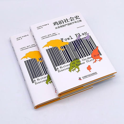 鸡的社会史：从生物到产品的千年之路（从星君到神鸟再到餐桌，鸡与人的爱恨史！） 商品图3