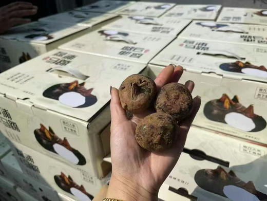 水果马蹄 新鲜采挖季，化渣清甜，又大又甜，清甜爽口，号称“地下雪梨”“江南人参” 商品图3