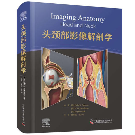 头颈部影像解剖学 国际经典影像解剖学译著 商品图8