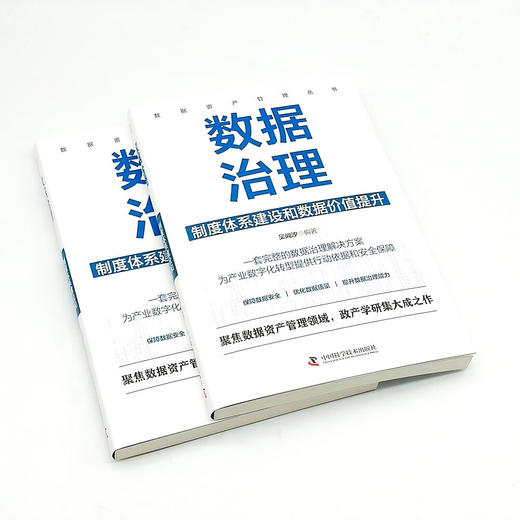 数据治理 : 制度体系建设和数据价值提升  数据资产管理丛书 商品图4