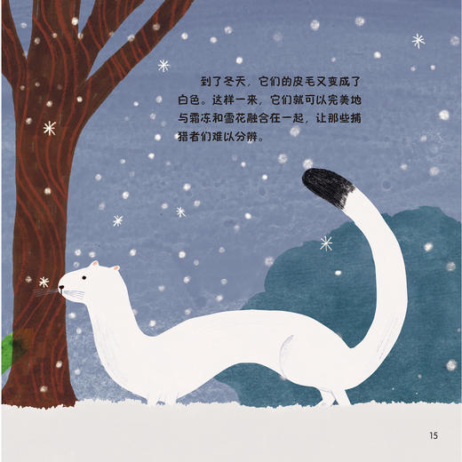 《森林四重奏》（全4册）：《叽叽喳喳的树梢》《热闹的灌木乐园》《昆虫的森林花园》《泥土里的穿行者》 商品图9