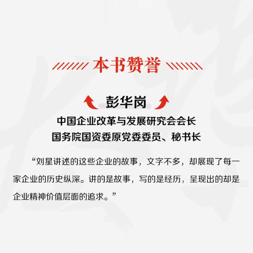 奔跑者：中国经济脊梁  央视财经频道制片人刘星力作 商品图3