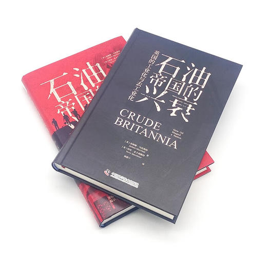 石油帝国的兴衰：英国的工业化与去工业化 商品图5