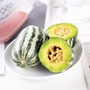 山东头茬博洋9号蜜瓜  3斤装/4.5斤装 商品缩略图4