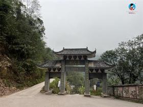  2025茶山日记10｜小山重叠金明灭，再入刮风探茶王 