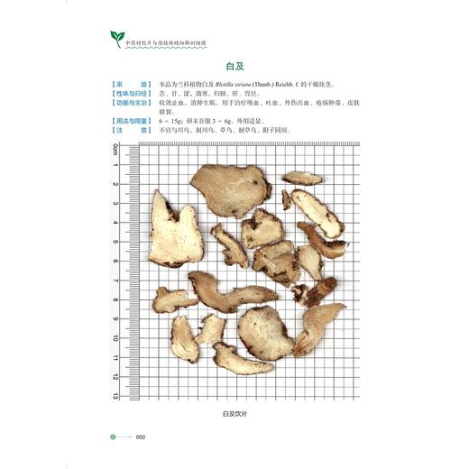中药材饮片与原植物精细解剖组图/主编 刘丽琴 蒋金火 潘锋/浙江大学出版社 商品图1