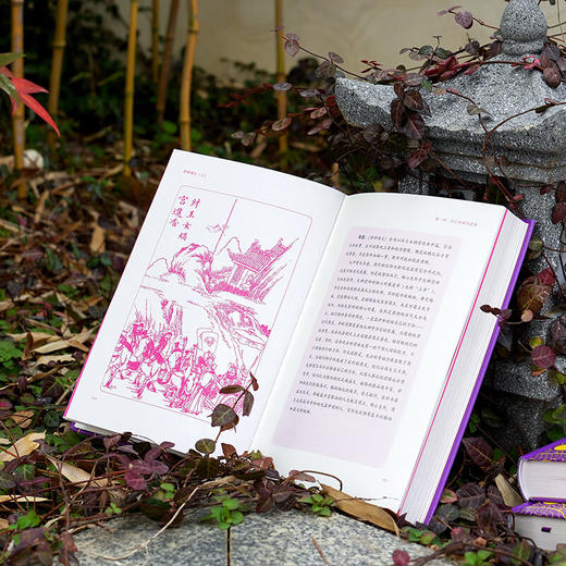 封神演义原著正版 全本全注全评注全导读彩图本【精装3册】（AY） 商品图8