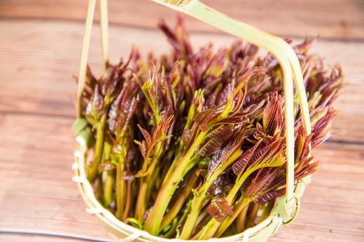 【每周一、周四现采现发】你的春日限定——灵椿之语-香椿  时令红椿400g 商品图2