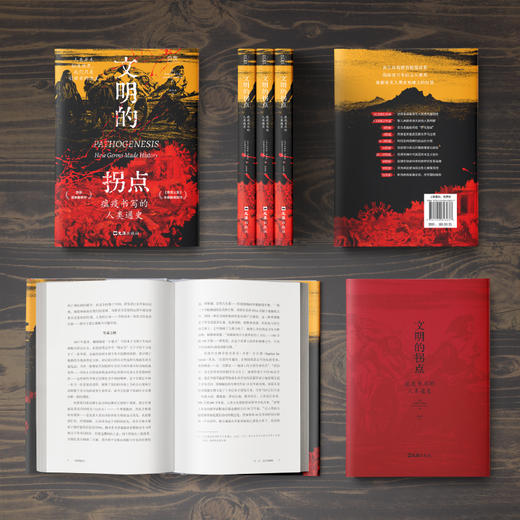 文明的拐点：瘟疫书写的人类通史 商品图2
