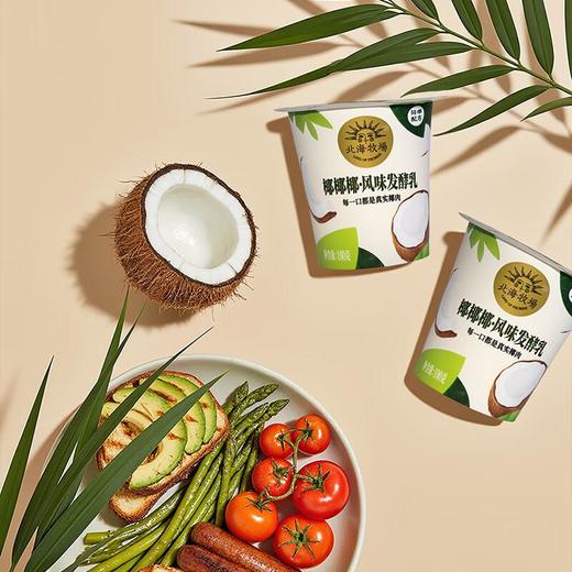 北海牧场椰椰发酵乳酸奶 100g*3/组 商品图3