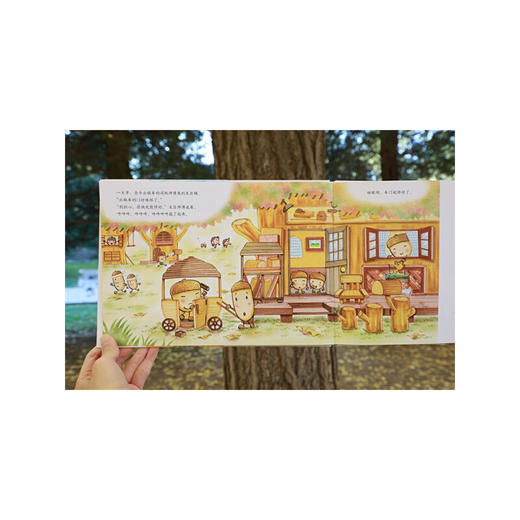 壳斗村的木匠师傅 商品图3