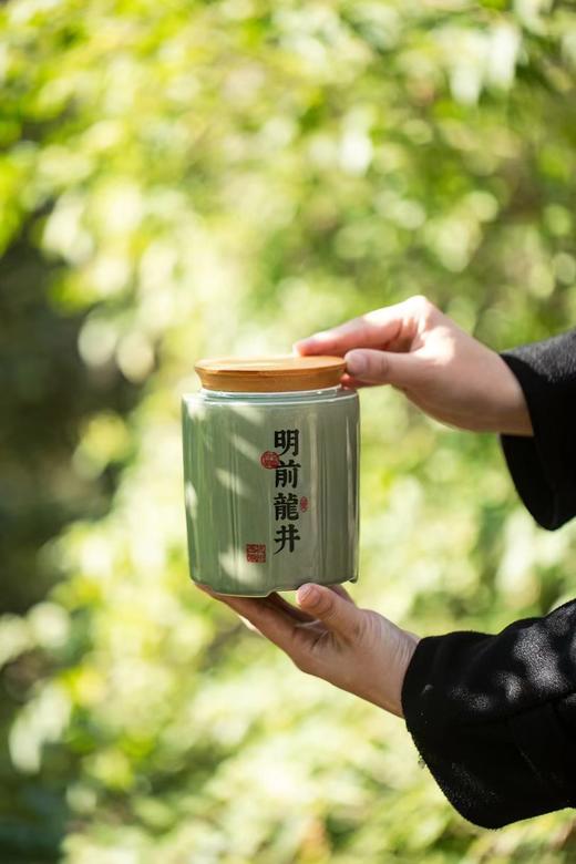 【绮】特级西湖龙井好景常在礼盒  250g 商品图1