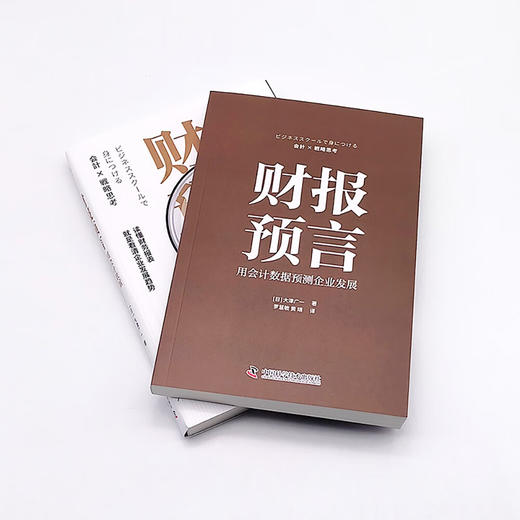 财报预言：用会计数据预测企业发展（读懂财务报表，看清企业发展趋势！） 商品图8