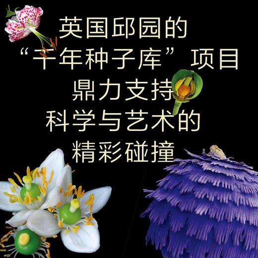 华丽呈现：瑰丽的植物微观世界 商品图3
