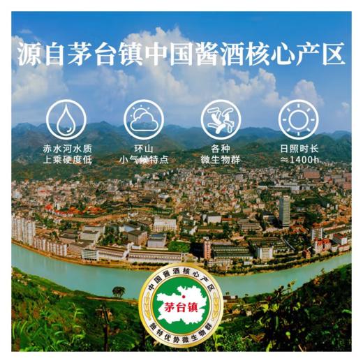 【会员福利】国台 国标酒 酱香型白酒 53度   2019年酿造 真实年份   500ml*6整箱装（新老包装随机发货） 商品图5