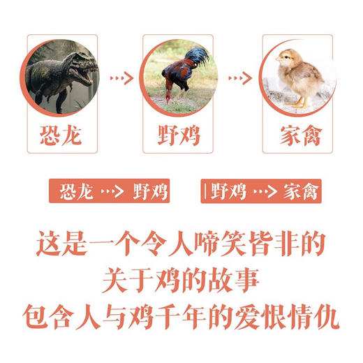 鸡的社会史：从生物到产品的千年之路（从星君到神鸟再到餐桌，鸡与人的爱恨史！） 商品图2