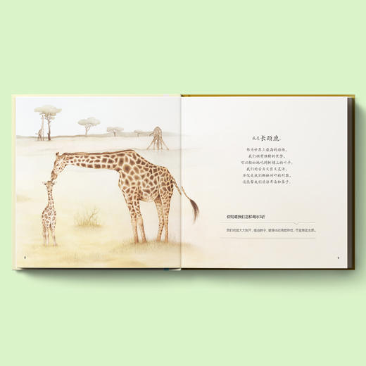 《你好！动物宝宝》（全6册） 商品图2