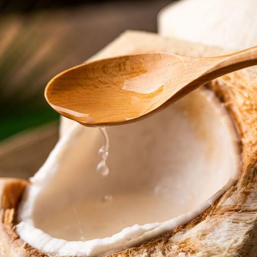 新鲜水果  泰国精品椰青 1枚 商品图1