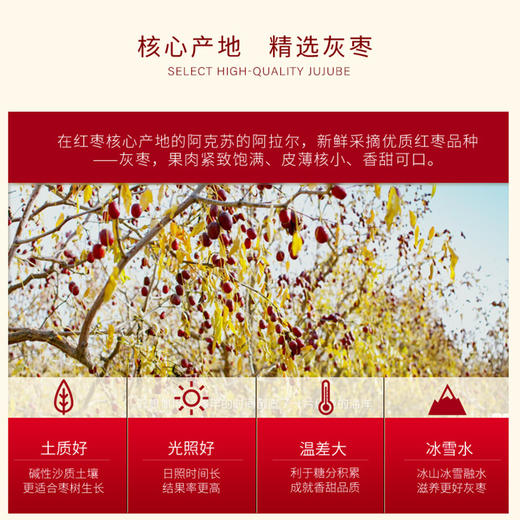 好想你998g特级健康情锁鲜枣礼盒 商品图11