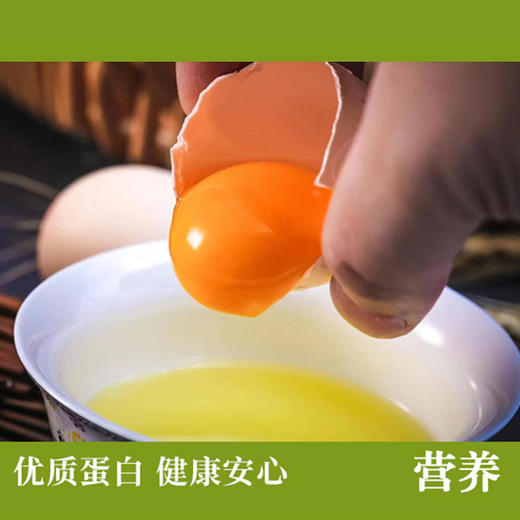 【可生食鸡蛋】美味无腥味 生食也可口 谷物喂养 蛋白清澈粘稠 蛋黄凝结度高 ！【顺丰发货】 商品图3