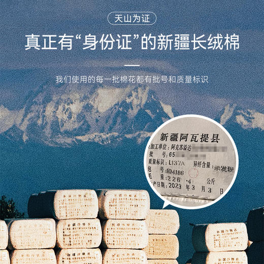 十如仕法式免烫高纱支商务衬衫纯棉提花长袖衬衣-506-01-02 商品图6