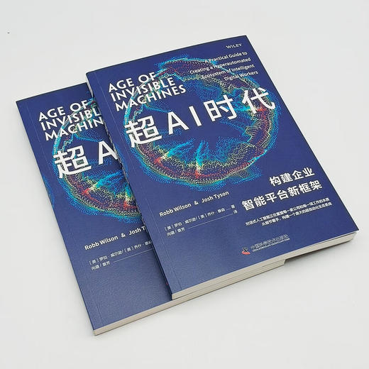 超AI时代：构建企业智能平台新框架 商品图4