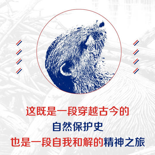 河狸大神：第二建筑师如何塑造美国 商品图1