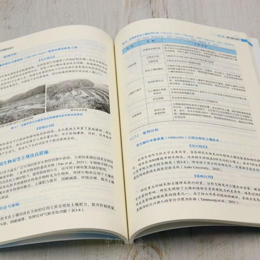 E城乡碳中和生态环境规划设计 &2923 商品图4