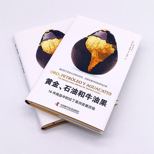 黄金、石油和牛油果：16件商品中的拉丁美洲发展历程 商品图3